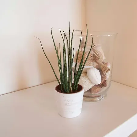 Apartment Tornabuoni Charming