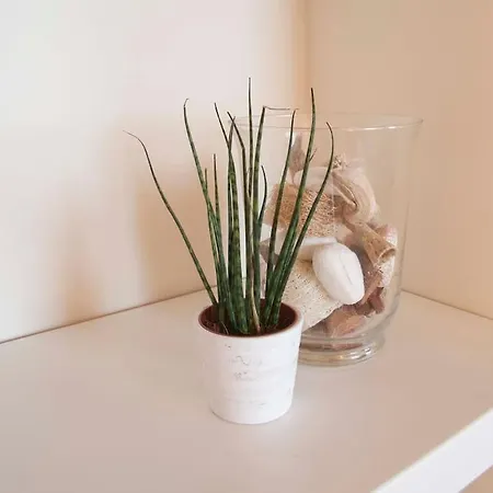 Appartement Tornabuoni Charming